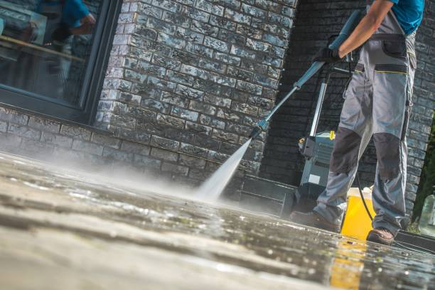Animal Enclosure Cleaning in Lely, FL