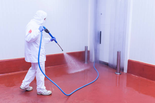 Best Spring Cleaning  in Lely, FL