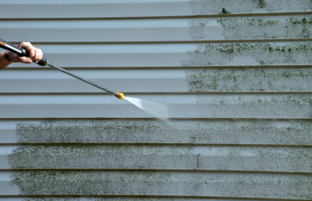 Best Dumpster Area Cleaning  in Lely, FL