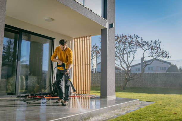Best Solar Panel Cleaning  in Lely, FL